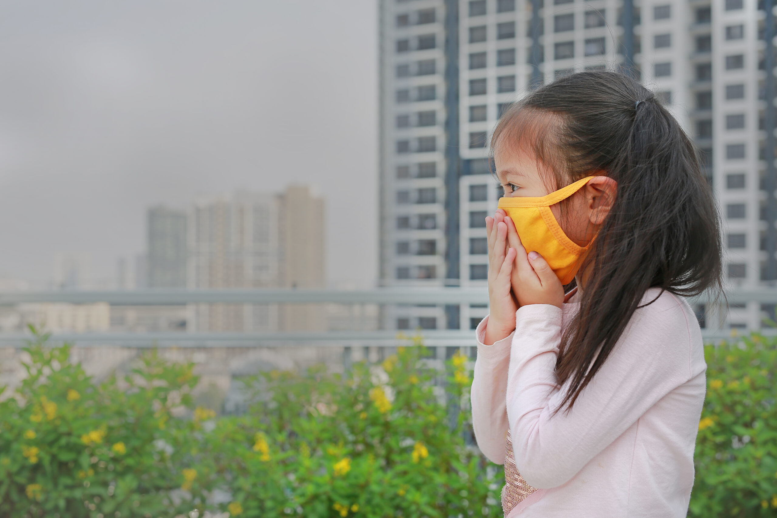 La contaminación del aire en Tailandia: una crisis que amenaza la salud, el desarrollo y la educación de los niños