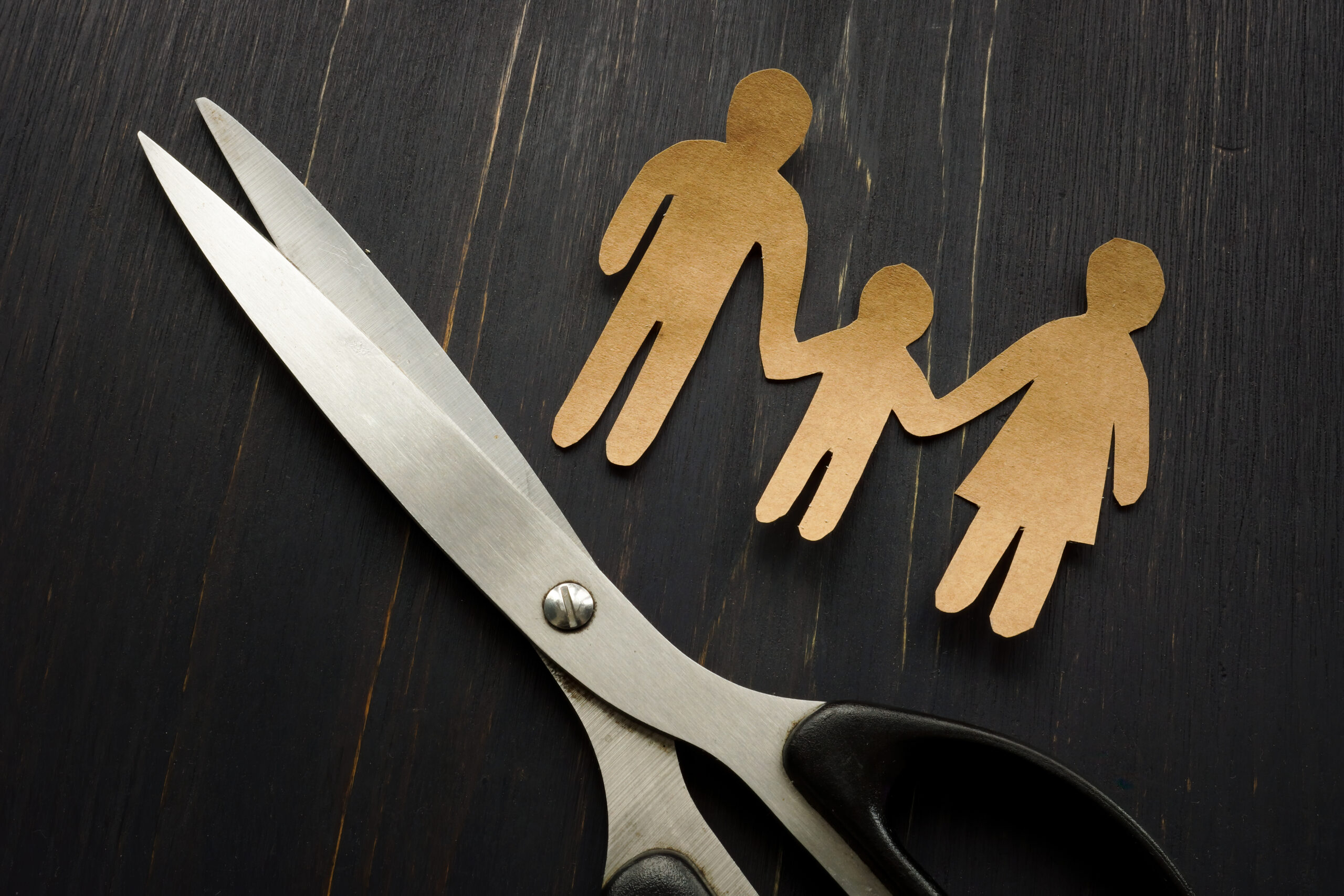 Repercusión de la ‘alienación parental’ sobre el interés superior del niño en los casos de abuso doméstico