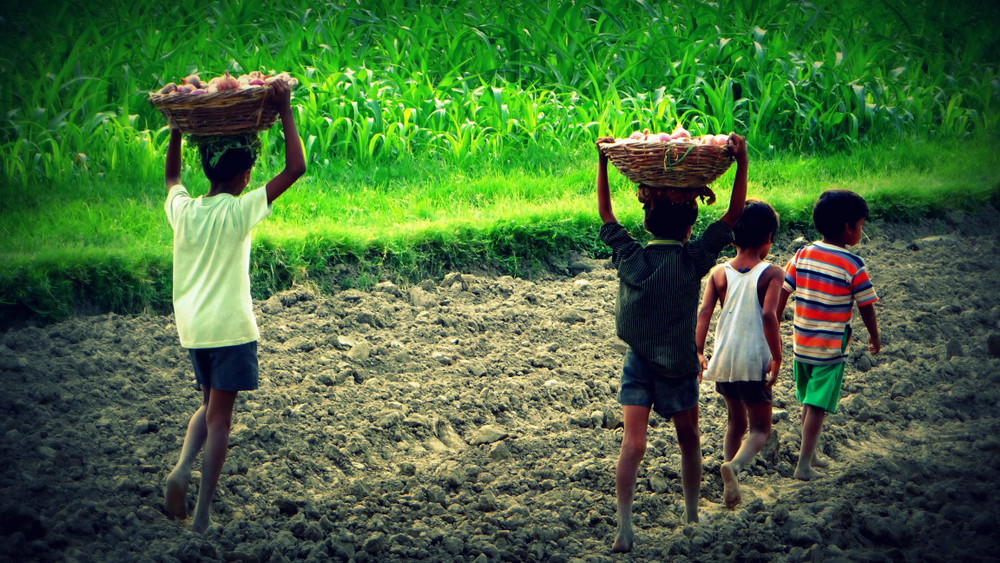 Trabajo Infantil en La India